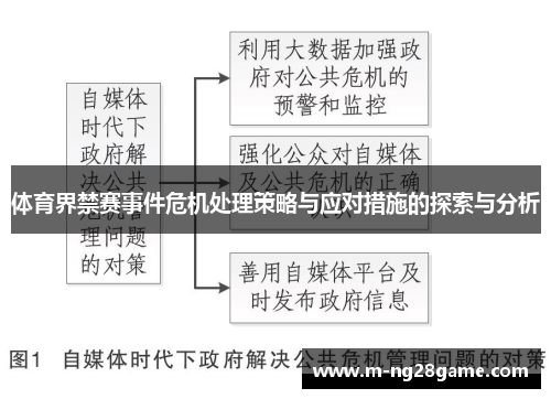 体育界禁赛事件危机处理策略与应对措施的探索与分析