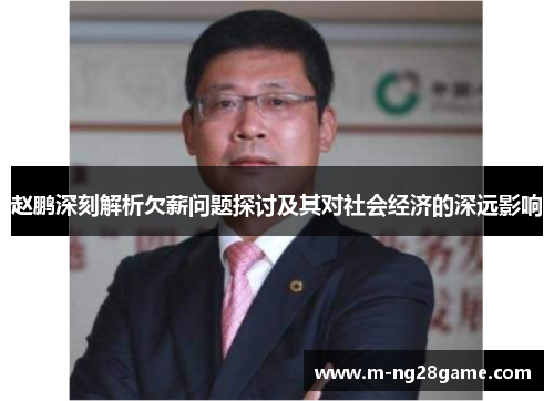 赵鹏深刻解析欠薪问题探讨及其对社会经济的深远影响