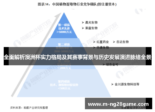 全面解析澳洲杯实力格局及其赛事背景与历史发展演进脉络全景