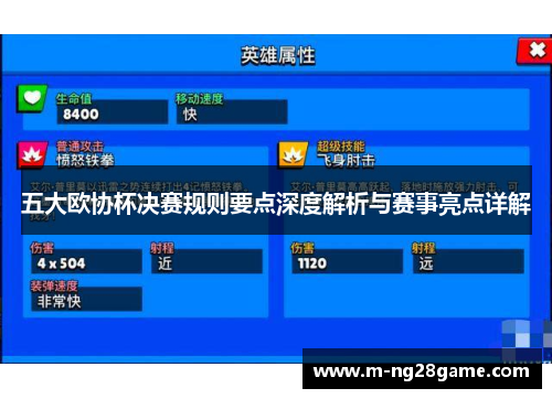 五大欧协杯决赛规则要点深度解析与赛事亮点详解