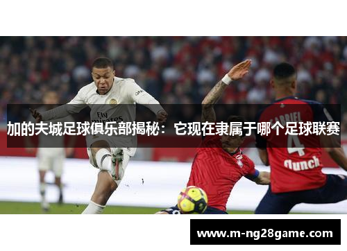 加的夫城足球俱乐部揭秘：它现在隶属于哪个足球联赛