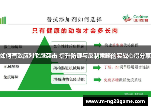 如何有效应对老鹰袭击 提升防御与反制策略的实战心得分享 如何有效应对老鹰袭击 提升防御与反制策略的实战心得分享