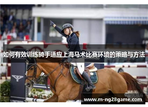 如何有效训练骑手适应上海马术比赛环境的策略与方法 如何有效训练骑手适应上海马术比赛环境的策略与方法