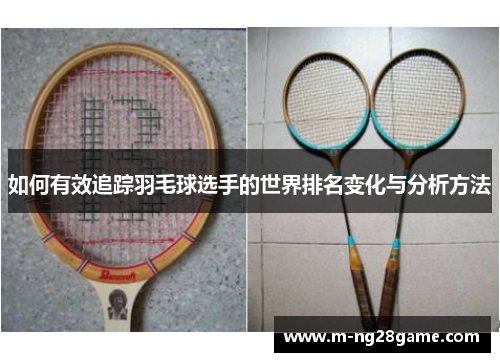 如何有效追踪羽毛球选手的世界排名变化与分析方法 如何有效追踪羽毛球选手的世界排名变化与分析方法