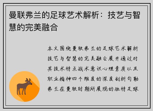曼联弗兰的足球艺术解析：技艺与智慧的完美融合